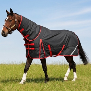 Manta Profesional para Caballo, Transpirable, Impermeable, Cálida, de Nailon Resistente para Invierno - Product Image 1