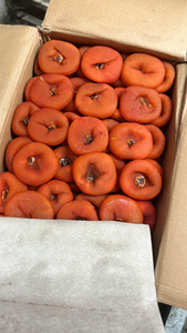 Auténtico producto de caqui seco de Vietnam hecho de fruta natural pura adecuado para exportación al por mayor y etiqueta privada - Product Image 2