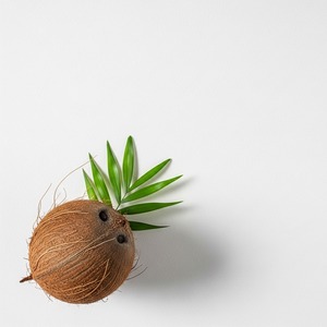 Coco Natural Premium Seco a Granel, Proveedor Mayorista de Exportación Directo de Fábrica para Supermercados, Compradores de Ingredientes para Servicios de Alimentos - Product Image 1