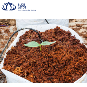 Bloc de coco de haute qualité de 5kg (tourbe de coco) du Viet Nam - Product Image 6