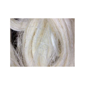 Fibre de sisal Fibre de sisal naturelle de qualité parfaite pour le tissu de sisal - Product Image 1