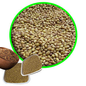 Berseู Clover | รักษาความชุ่มชื้นของดินในขณะที่เติบโต - Product Image 5