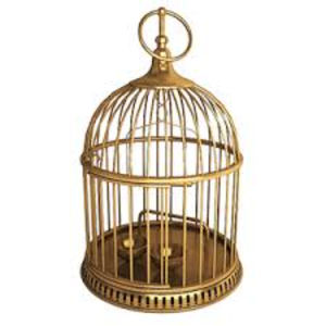 กรงสัตว์เลี้ยงกรงกลางแจ้งกรงลวดโลหะโบราณสำหรับตกแต่งสวน - Product Image 2