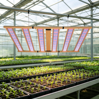 Lampe de culture LED haute performance détachable avec longueur de câble réglable pour la croissance des plantes d'intérieur à toutes les étapes
