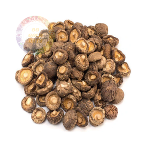 Hongos secos de primera calidad para venta al por mayor-Orgánicos, seleccionados a mano y listos para la exportación inmediata en todo el mundo - Product Image 1