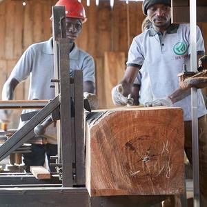 Compre Madera de Ehyedua Secada al Horno de EE. UU. para la Fabricación de Muebles de Primera Calidad, Resistente al Agua, Ecológica, Garantía de 2 Años, Entrega Rápida - Product Image 4