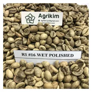 Сертифицированный зеленый кофе в зернах вьетнамский экспортер кофе оптовая цена экспортный стандарт готов к отправке для мирового рынка