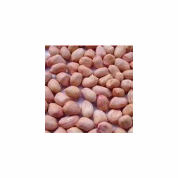 100% Nueces de tierra crudas tostadas de estilo orgánico seco Pure Bold Peanut Kernel-Precio de compra para cacahuetes Nueces de guisantes Cacahuetes tostados - Product Image 2