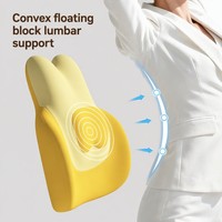 Coussin de soutien lombaire ergonomique pour chaise de bureau, coussin soulageant les douleurs dorsales, maille respirante pour les travailleurs assis longue durée