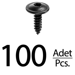 Vis de capot pour Volkswagen Golf Passat Beetle Cabrio Torx (Torque) - 100 pièces - Product Image 1