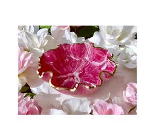 ถ้วยเสิร์ฟทำจากเรซิ่นสีสันสดใสน้ำหนักเบาและทนทานเหมาะสำหรับงานปาร์ตี้ปิกนิกกลางแจ้งหรืองานสังสรรค์ในครอบครัวแบบลำลอง - Product Image 2