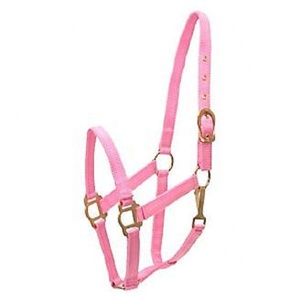 Dây Ngựa Cưỡi Ngựa Có Thể Điều Chỉnh Màu Xanh Ngọc Lam Màu Vàng Hồng Phụ Kiện Kim Loại Trực Tuyến Với Giá Thấp Tại Ấn Độ - Product Image 5