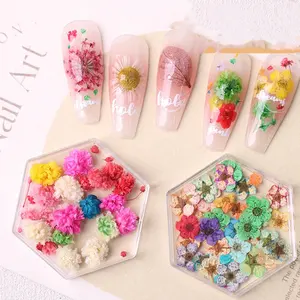 2024 The Latest Nail Products Dried Flowers Mini Real Natural Flower 3d Nail Charms