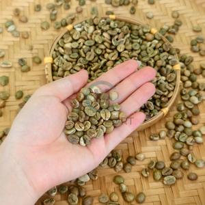 Vietnam <b>Robusta</b> Green <b>Coffee</b> <b>Beans</b> Size 18 <b>Robusta</b> <b>coffee</b> <b>beans</b> wholesale Organic <b>coffee</b> Bulk Export Strong Body <b>Coffee</b> Supplier - Product Image 1