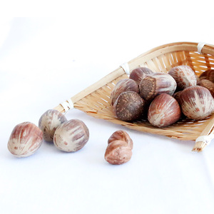Nueces de Avellana Orgánicas al Mejor Precio, Crudas, Secas, de Alta Calidad, Grado Alimenticio, Bajo MOQ, Envío Internacional Rápido, En Venta - Product Image 5