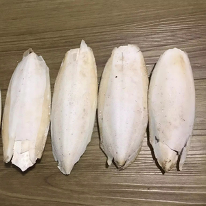 ปลาหมึกปลาหมึกจากเวียดนาม - Product Image 1