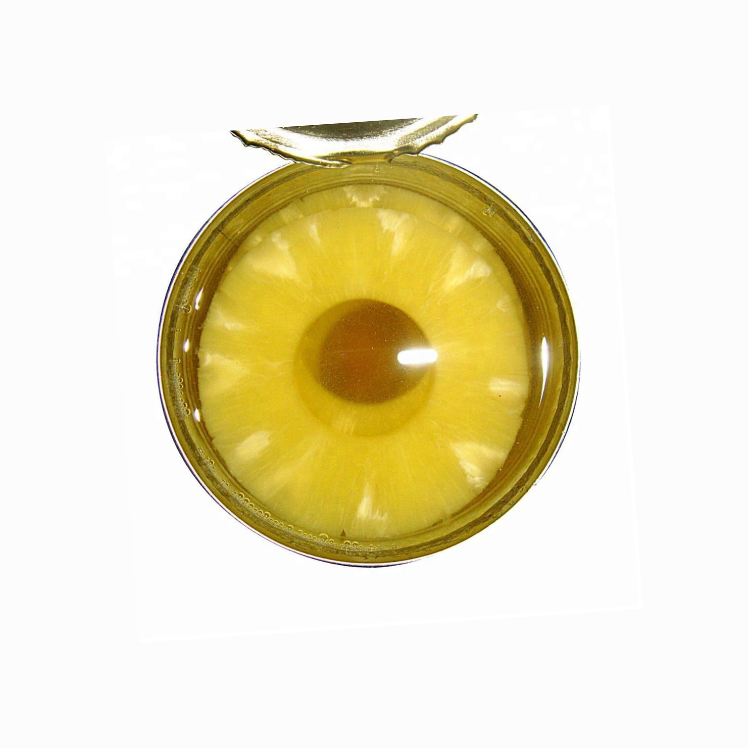 Best Price Competitive Canned Sliced Pineapple in Light or Heavy Syrup High Quality Canned Fruit