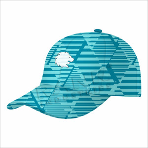 Casquettes de sport au design nouveau, logo personnalisé, polyester et coton, légères, prix bas. - Product Image 1
