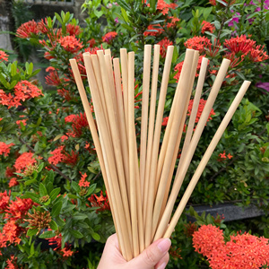 หลอดดูดน้ำทำจากไม้ไผ่ออแกนิกขนาด20ซม. ย่อยสลายได้นำกลับมาใช้ใหม่ได้สำหรับตั้งแคมป์พร้อมส่ง - Product Image 2