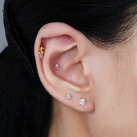 Droit Grand ASTM F136 Titane 16G Fil Interne Hippocampe Labret Stud Cartilage Boucle D'oreille Nez Piercing Bijoux De Corps