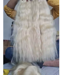 Peluca frontal de encaje ondulado de vendedores de cabello de la mejor calidad de pelo de templo indio pelucas de cabello humano al por mayor Peluca de Color Rubio - Product Image 3