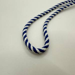 Cordones de Zapatos Personalizados Ecológicos 100% Poliéster de 5mm, Color Personalizado, Punta de Plástico Personalizable para Prendas, Zapatos y Hogar - Product Image 2