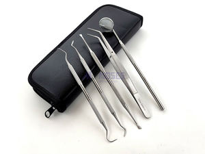7 pièces détartreur dentaire Curette Pick dentiste outils à main ensemble Kit de nettoyage dentaire hygiène buccale professionnelle - Product Image 5