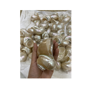 Concha decorativa para instalaciones de arte interior de 99 Gold Data Vietnam en acabado blanco y verde - Product Image 2