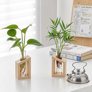 Crystal Glass Square Test Tube Vase Wooden Stand Modern Hydroponic Planter <strong>Propagation</strong> Station Indoor Plants Home Garden - Product Image 3
