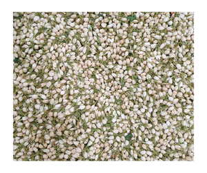 ดอกจัสมินทั้งหมดของชาสกัดจากดอกมะลิอบแห้งสดใหม่ดอกตูมดอกมะลิธรรมชาติสำหรับชงชา - Product Image 3