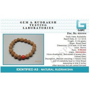 Bracelet Rudraksha unisexe en corail naturel brun Moonga |   Indonésie |   Métal non précieux |   5 Mukhi |   Bracelets à perles tendance - Product Image 3