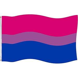 Paquete de 10 Banderas Bisexuales de 3x5 pies, Banderas Bi Resistentes para Exteriores Hechas en EE. UU., Bandera del Orgullo Bisexual de Colores Vivos en Poliéster - Product Image 5