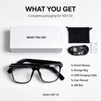 Lunettes Intelligentes Audio Polarisées Photochromiques Sans Fil à Oreille Ouverte pour Musique et Appels OEM ODM Logo Personnalisé