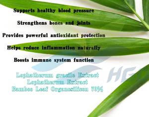 HGO Factory Direct Supply Natürlicher Lophatherum-Gracile-Extrakt/Lophatherum-Extrakt (Lebensmittel qualität) Bambusblatt-Organo silicium 70% - Product Image 5
