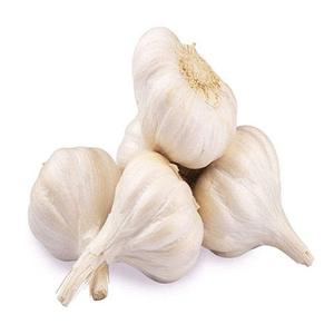 Premium Organic Garlic <b>Unbeatable</b> Quality Fresh Pure White 10kg Bulk Wholesale Supplier From France - Product Image 5