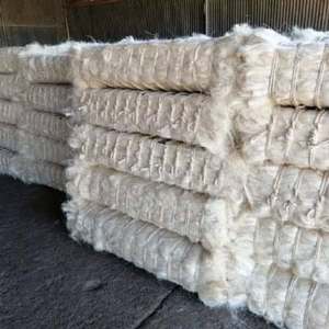 Fibra de sisal natural 100% de alta calidad/fibra de sisal blanca de grado UG a la venta WhatsApp + 255 760 808 853 - Product Image 5