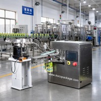 Machine de remplissage et de bouchage automatique KOCO pour sachets à bec verseur 5L, équipement d'emballage de liquides en sachet, remplisseur de sachets haute précision 1500BPH