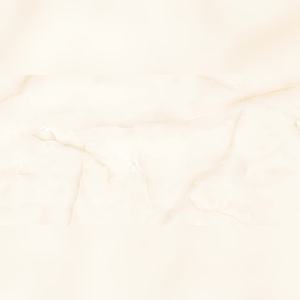 Tropical Paradise Luster Vitrified Ceramics 600x1200mm Humid Resistant Shine for Vacation Villas - Product Image 4