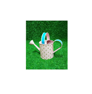 2.2 litres en métal jardin arrosoir petit bidon d'eau pour extérieur intérieur plante décor à la maison fleur Vase utiliser pour la vente - Product Image 1