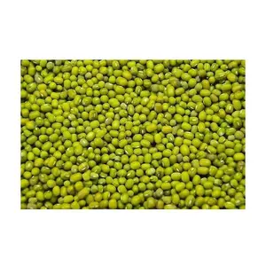 Best Factory Price of Natural Green Mung Beans / Whole Moong Beans Available In Large Quantity