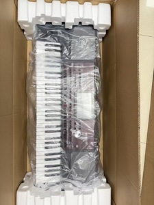 TOP QUALITY KO-RG Pa700 PROFESSIONAL 61 KEY ARRANGER <b>WORKSTATION</b> - Product Image 3