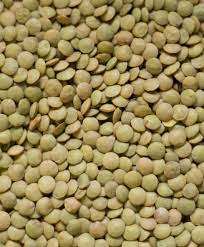 Full Circle Organic Green <b>Lentils</b> For Sale - Product Image 2