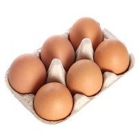 Œufs à couver de poulets de chair Ross 308 et Cobb 500, et œufs de table frais