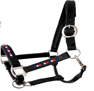 Dos de cheval en cuir cousu fantaisie dos de cheval en cuir rembourré-boucles en laiton réglable menton gorge licou à pression - Product Image 1