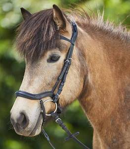 Frontal en cuir de qualité supérieure, confortable, de 6 mm, en forme de U, personnalisable, avec rembourrage design pour le nez, élégant pour l'équitation - Product Image 6