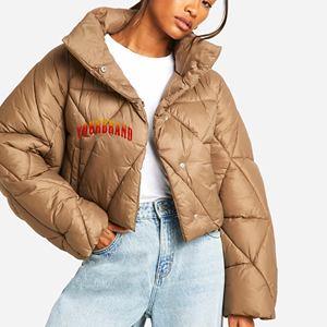 Chaqueta de plumón corta para mujer, estilo nuevo, informal, de invierno, talla grande, transpirable, con logotipo personalizado impreso en DTF - Product Image 1