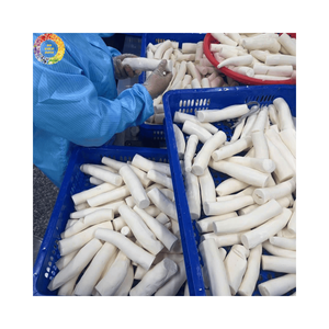 Yuca Entera Pelada Congelada de Calidad Premium, Raíz de Tapioca Fresca IQF, Suministro a Granel para el Mercado Mayorista, Manioca Natural de Alta Calidad - Product Image 5