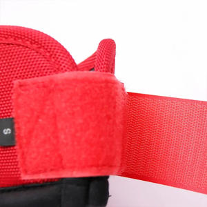 Custom Logo Style Packing Feature Material Horse Protection Boots Best Selling English Horse Protection Boots - Product Image 5