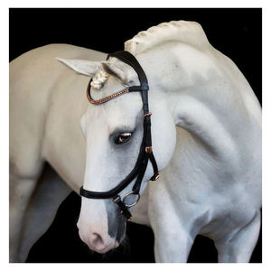 All Purpose Custom Made Imported Quality Horse Leather Bridle Smart Lumiere <b>Equestrian</b> Aria Anatomic Leather Bridle - Product Image 4