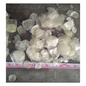 วัสดุจากเกล็ดปลาแปรรูประดับพรีเมียมแหล่งคอลลาเจนขายส่ง | พร้อมส่ง - Product Image 4